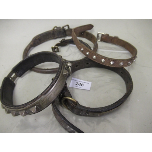 246 - 19th Century silver plated and leather dog collar, together with four other dog collars