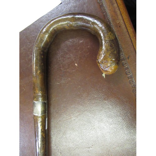 309 - 19th Century silver collared sword stick with etched ' Wilkinson Sword' single fuller blade