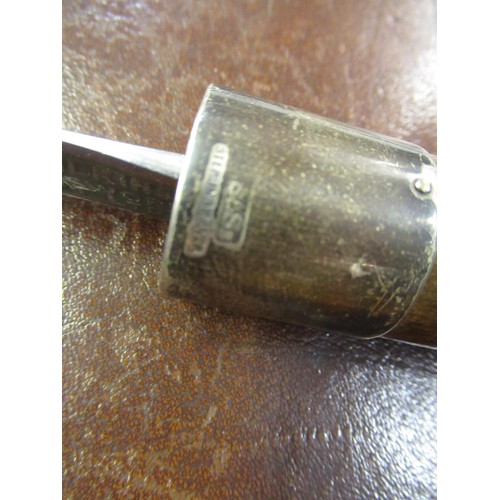 309 - 19th Century silver collared sword stick with etched ' Wilkinson Sword' single fuller blade