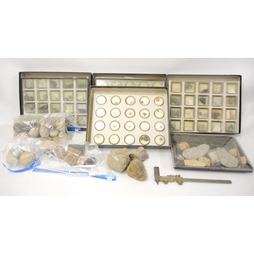 149 - Collection of minerals, shells and fossils