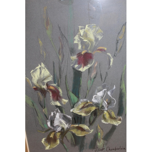 1174 - Juliet Chamberlain, pastel drawing study of irises, 52 x 35cm, together with another flower study by... 