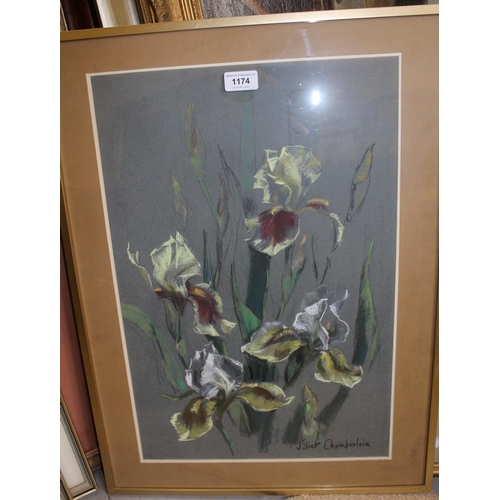 1174 - Juliet Chamberlain, pastel drawing study of irises, 52 x 35cm, together with another flower study by... 