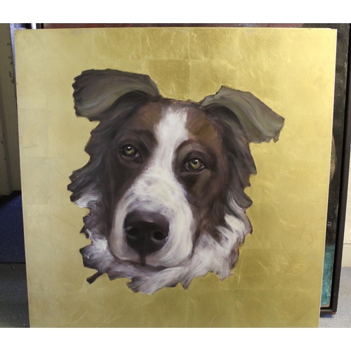 1269 - Large modern OKA oil on canvas, head portrait of a Collie dog, 100cm square