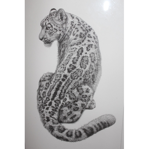 1272 - Kevin Hayler, group of three signed Limited Edition prints of big cats, housed in a single frame