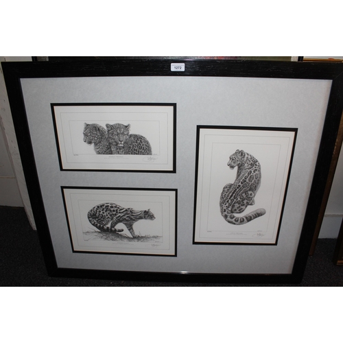 1272 - Kevin Hayler, group of three signed Limited Edition prints of big cats, housed in a single frame