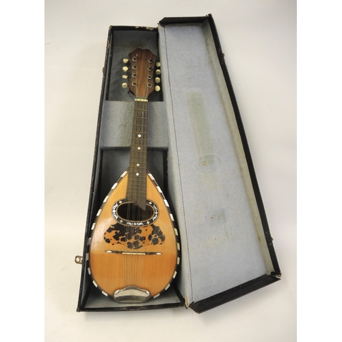 Late 19th / early 20th Century mandolin by Carlo Ricordo Napolis with original case, the tortoiseshell and mother of pearl decorated and line inlaid body with simulated ivory tuners and bone nut, together with a modern German accordion