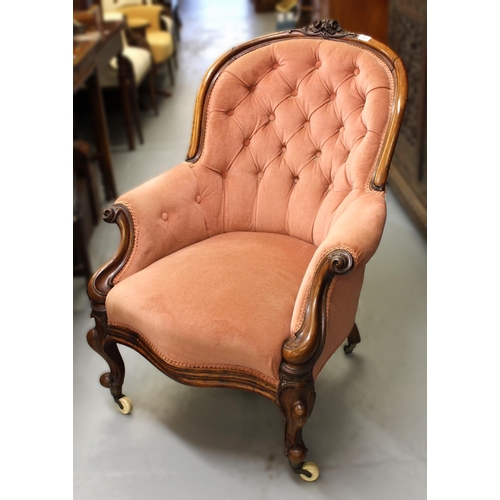 1435 - Victorian mahogany and button upholstered tub shaped drawing room chair