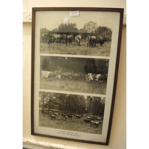 169 - Group of four early 20th Century Japanese photographs housed in two oak frames, together with a grou... 