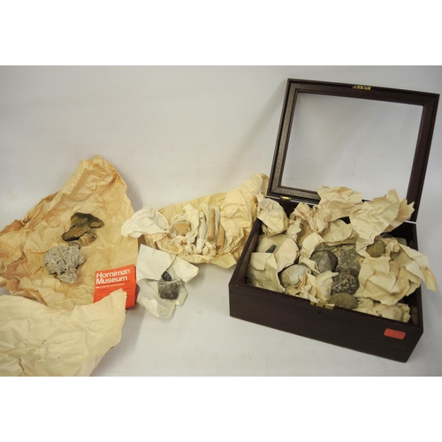 258 - Quantity of various fossils, minerals and shells