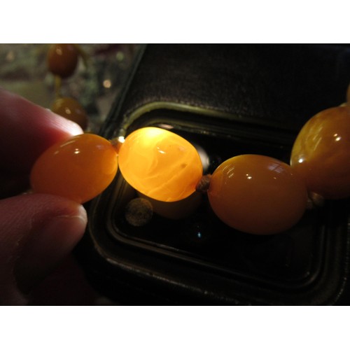 626 - Large butterscotch amber bead necklace, the largest bead approximately 37 x 28mm, 95g