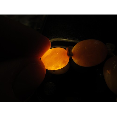 626 - Large butterscotch amber bead necklace, the largest bead approximately 37 x 28mm, 95g