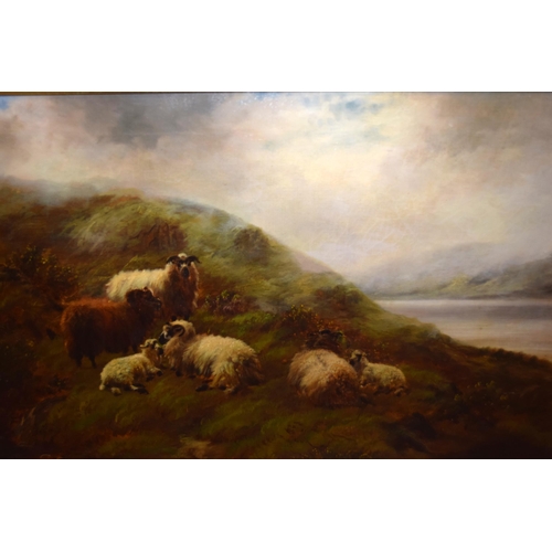 932 - Robert Watson, pair of oil paintings on canvas, sheep and cattle in highland landscapes, signed, 39 ... 