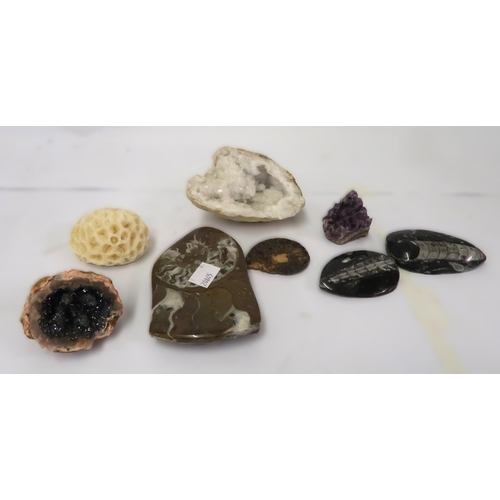 123 - Small quantity of polished fossils and geodes