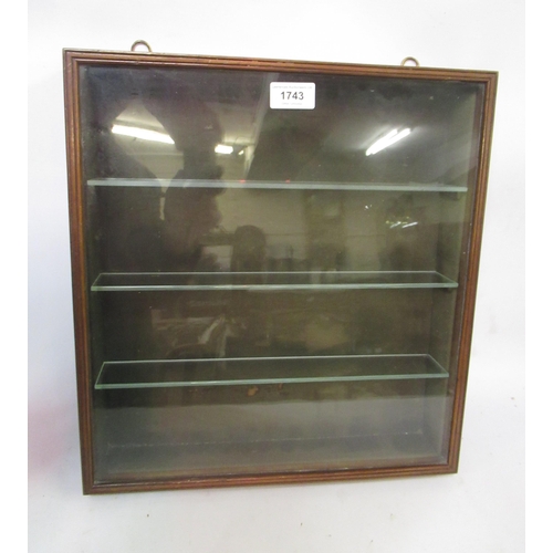 Small 19th Century mahogany wall display cabinet, with a single hinged door enclosing a velvet lined interior with later glass shelves, 39 x 37cm approximately