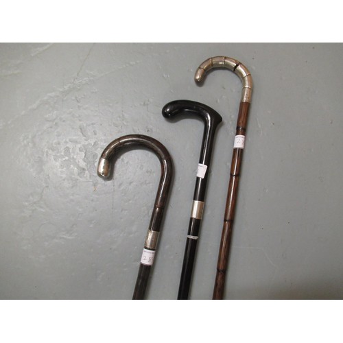 286 - Early 20th Century silver collared ebony walking cane and two palm wood silver collared and silver h... 