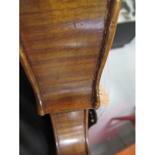 167 - Violin attributed to Neapolitan school with W.E. Hill fittings, housed in a good quality Hill oak ca... 