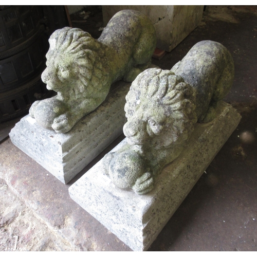 1152 - Pair of weathered cast concrete figures of recumbent lions, 66 x 40cm approximately