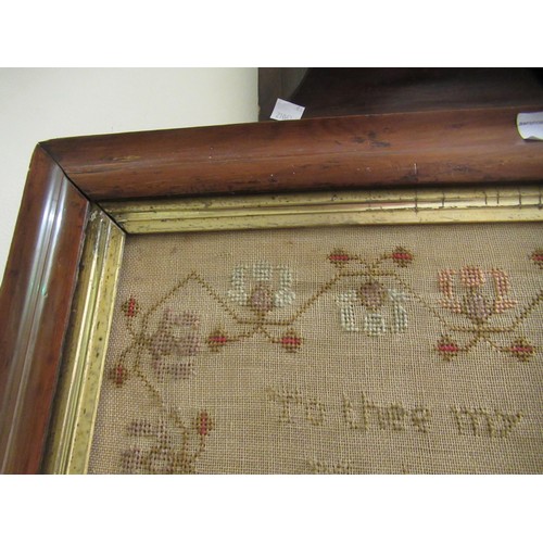 21 - 19th Century maplewood framed sampler, worked by Martha Gascoyn 1856, 58 x 42cm