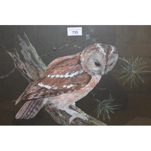 735 - B. Neeves, mixed media study of a tawny owl, signed, 36 x 49cm, gilt framed