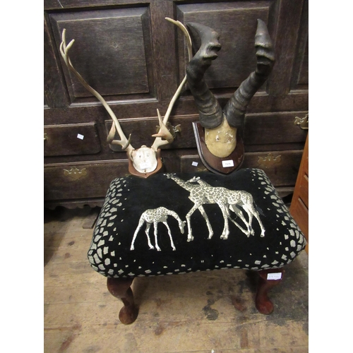 1976 - Two small pairs of deer and antelope horns, together with a footstool upholstered with a giraffe mot... 