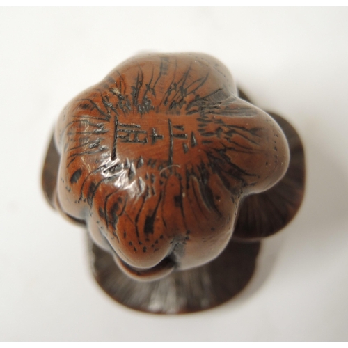 266 - Antique Japanese boxwood netsuke in the form of toadstools, with character mark signature to base, 3... 