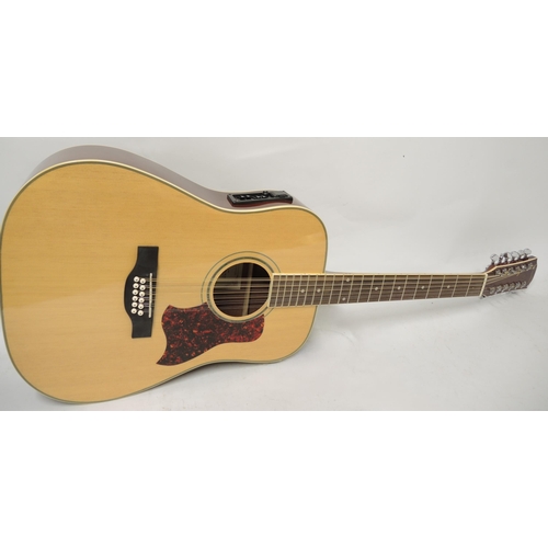 384 - Godman twelve string acoustic guitar with travel case