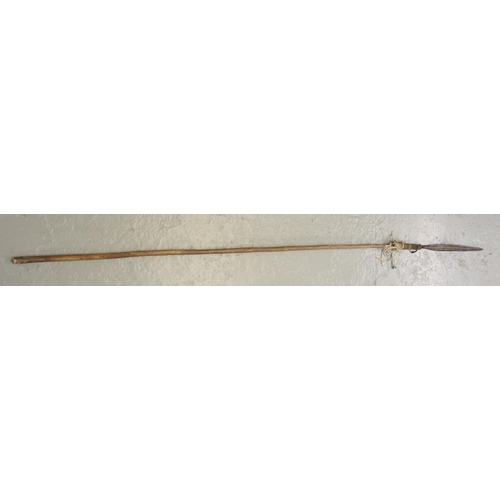 399 - Two Oriental short sword blades, 34cm long approximately, two spear heads and halberd tip together w... 