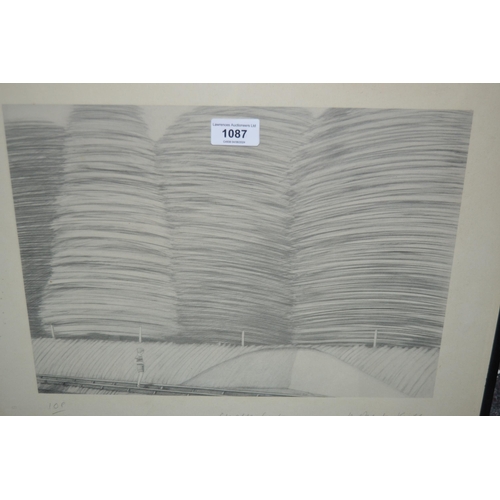 1087 - Robert Cull, group of three artist signed Limited Edition lithographs, ' Chalk Cut, Jet Trail ' and ... 