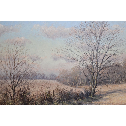 1164 - Mervyn Goode, oil on canvas, Winter fields and sky, signed and dated 1976, 45 x 60cm, framed