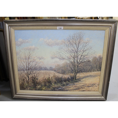 1164 - Mervyn Goode, oil on canvas, Winter fields and sky, signed and dated 1976, 45 x 60cm, framed