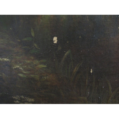 1336 - Alfred Cadman, 19th Century oil on canvas, Kingfisher in a river landscape, signed with monogram and... 