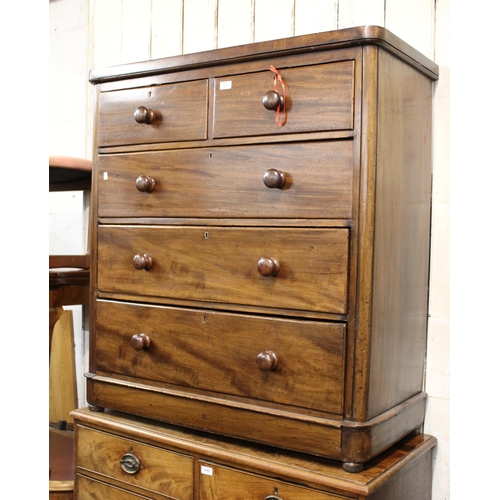 1451 - 19th Century mahogany chest of two short over three long drawers, with knob handles on low bun suppo... 