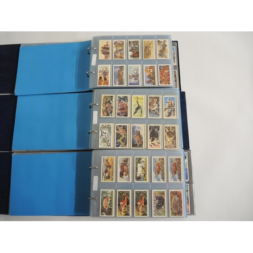 226 - Five albums containing a collection of various Brooke Bond trade cards