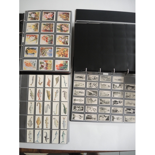 227 - Five albums containing a collection of 140 plus sets of Carreras cigarette cards including Actresses... 