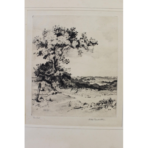 904 - H.M. Pemberton, two signed etchings, ' The Oak ' and ' The Ash ', together with three other various ... 