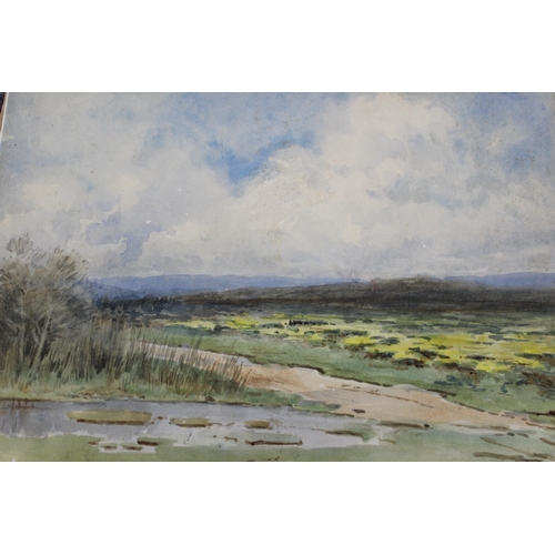 915 - Collection of fourteen various unframed watercolours, landscapes including West Country landscape si... 