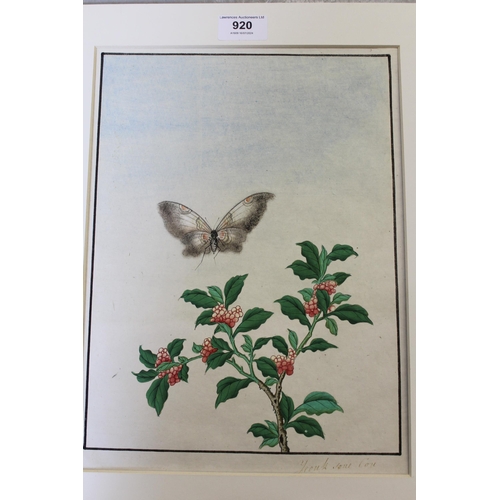 920 - Chinese watercolour on rice paper, study of a butterfly and foliage, 29 x 22cm approximately, togeth... 