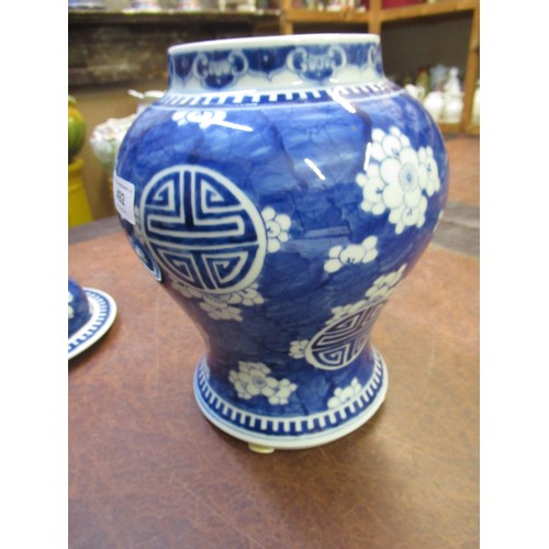 492 - Pair of Chinese blue and white prunus blossom decorated baluster form vases with covers, 36cm high