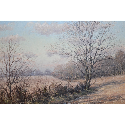 875 - Mervyn Goode, oil on canvas, Winter fields and sky, signed and dated 1976, 45 x 60cm, framed