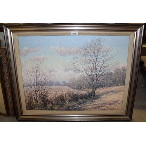 875 - Mervyn Goode, oil on canvas, Winter fields and sky, signed and dated 1976, 45 x 60cm, framed