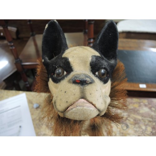 131 - French papier mache nodding head bull dog with bark mechanism (one leg detached)