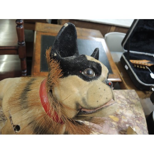 131 - French papier mache nodding head bull dog with bark mechanism (one leg detached)