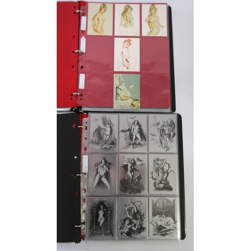 290 - Six albums containing various Comic Image erotic sets, including Clearly Olivia, Sorayama, including... 