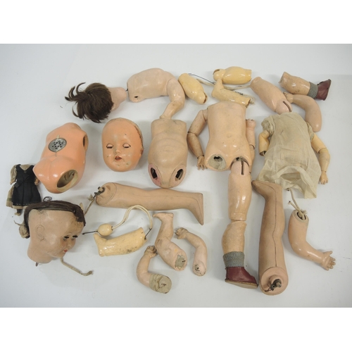 59 - Box containing a quantity of various 19th and early 20th Century dolls heads and body parts, includi... 