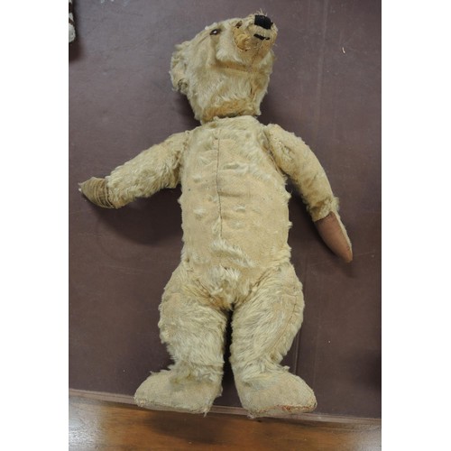 169 - Two early to mid 20th Century teddy bears (at fault), 47cm tall each approximately