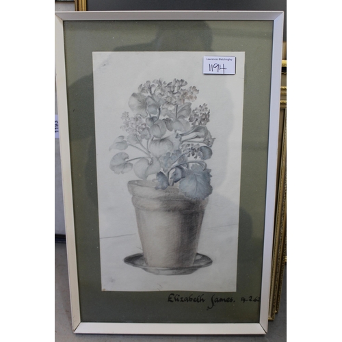 1194 - Elizabeth James, group of four pencil and wash drawings, botanical studies, signed and dated 1961 / ... 