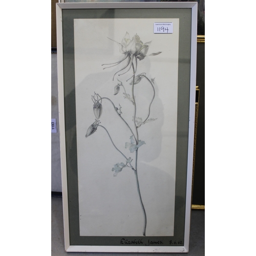 1194 - Elizabeth James, group of four pencil and wash drawings, botanical studies, signed and dated 1961 / ... 