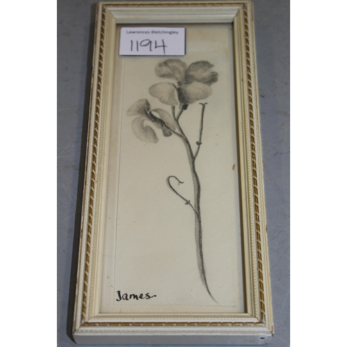 1194 - Elizabeth James, group of four pencil and wash drawings, botanical studies, signed and dated 1961 / ... 