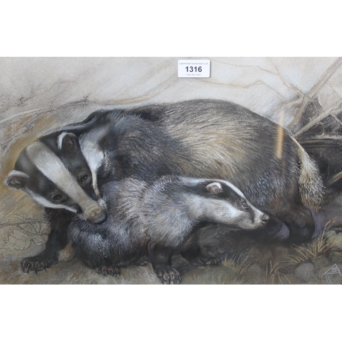 1316 - Sheila Armstrong SWLA, pastel drawing, badger and cub, 35 x 50cm, framed together with another, grey... 