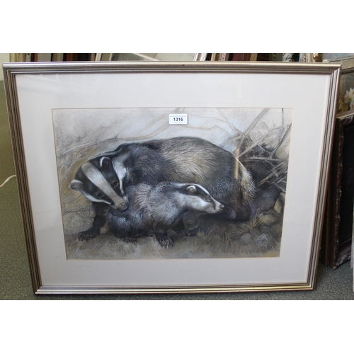 1316 - Sheila Armstrong SWLA, pastel drawing, badger and cub, 35 x 50cm, framed together with another, grey... 